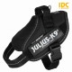 Julius-K9 IDC powertuig mini M